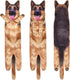 Funny German Shepherd Puppy Dog Hand Towels for Bathroom Kitchen